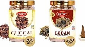 Shyam Charan Dry Dhoop Cones (280 Units)