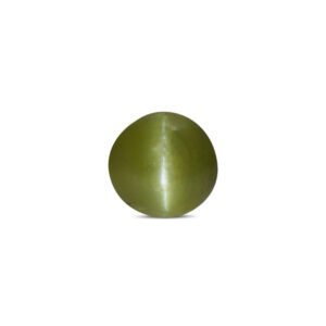 Cat's Eye - 2.85 Carat