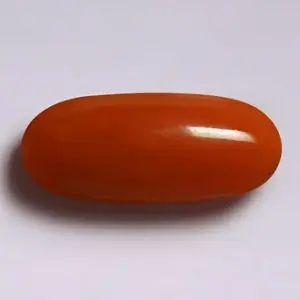 Red Coral - 3.67 Carats