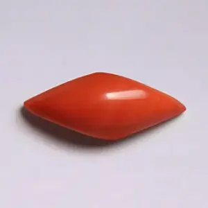 Red Coral - 3.87 Carats