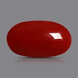 Red Coral - 3.81 Carats