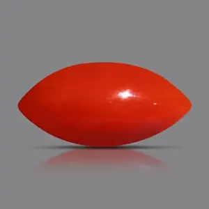 Red Coral - 3.78 Carats