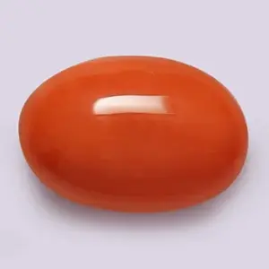 Red Coral - 3.98 Carats