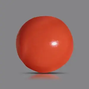 Red Coral - 3.95 Carats