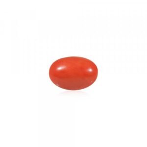 Red Coral (Moonga) - 4.54 Carat